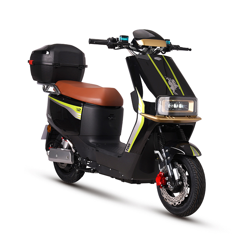 Xe máy điện Xe máy điện Xe tay ga điện e-scooter D18-5